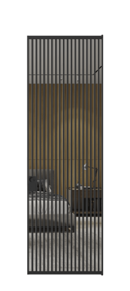 Алюминиевая дверь АЛПЛ040.06 Алюминий Черный Двустороннее зеркало, триплекс 6 мм, триплекс 6 мм Цена 169932  | Volhovec